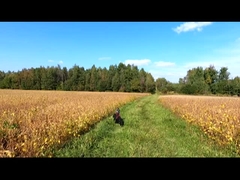 UAV ad ala fissa, droni verticali, sorveglianza, mappatura, aeromobili industriali agricoli